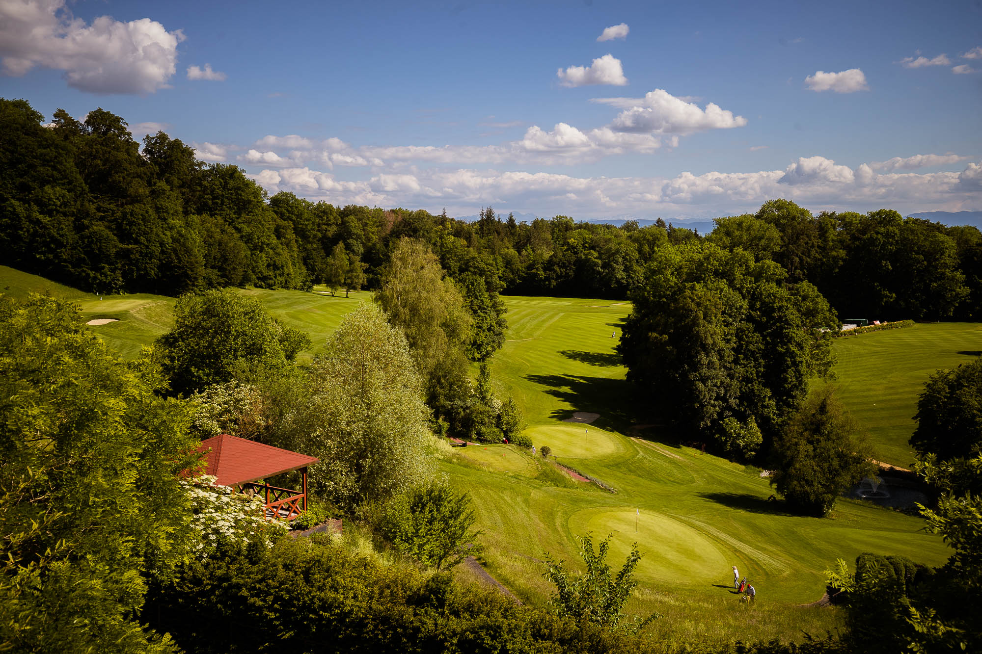 Export x3 1DX26717 Hochzeit 2020 Tatyana & Claudio